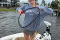 5242-pic-4